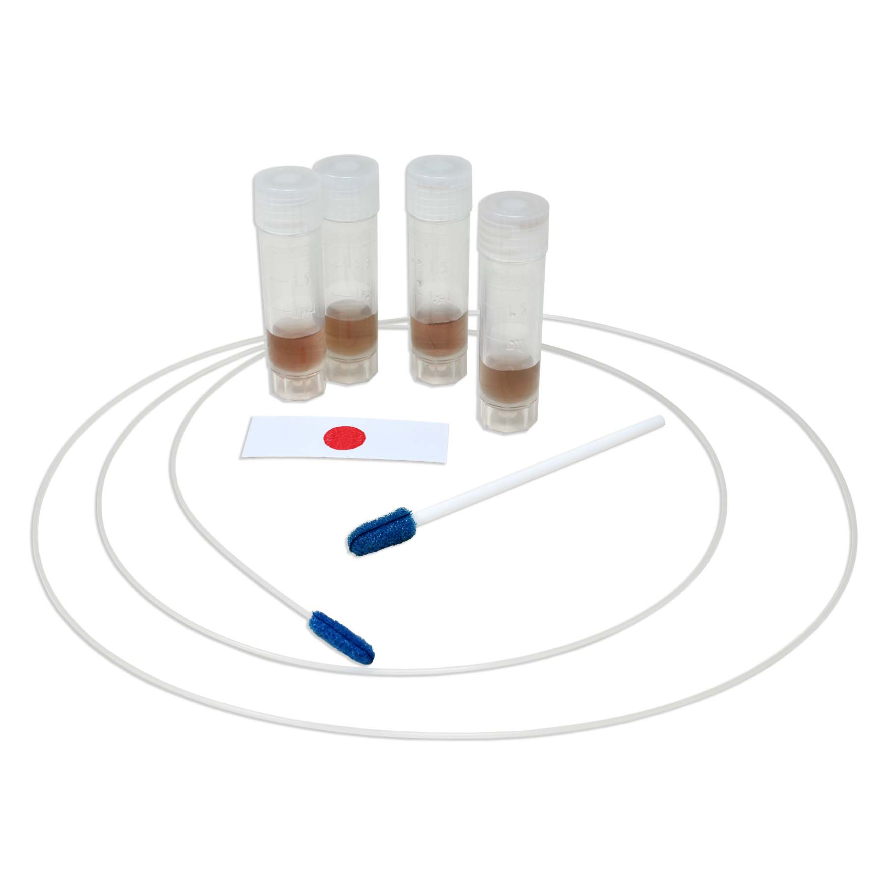 ProExpose™ Protein Detection Test Kit