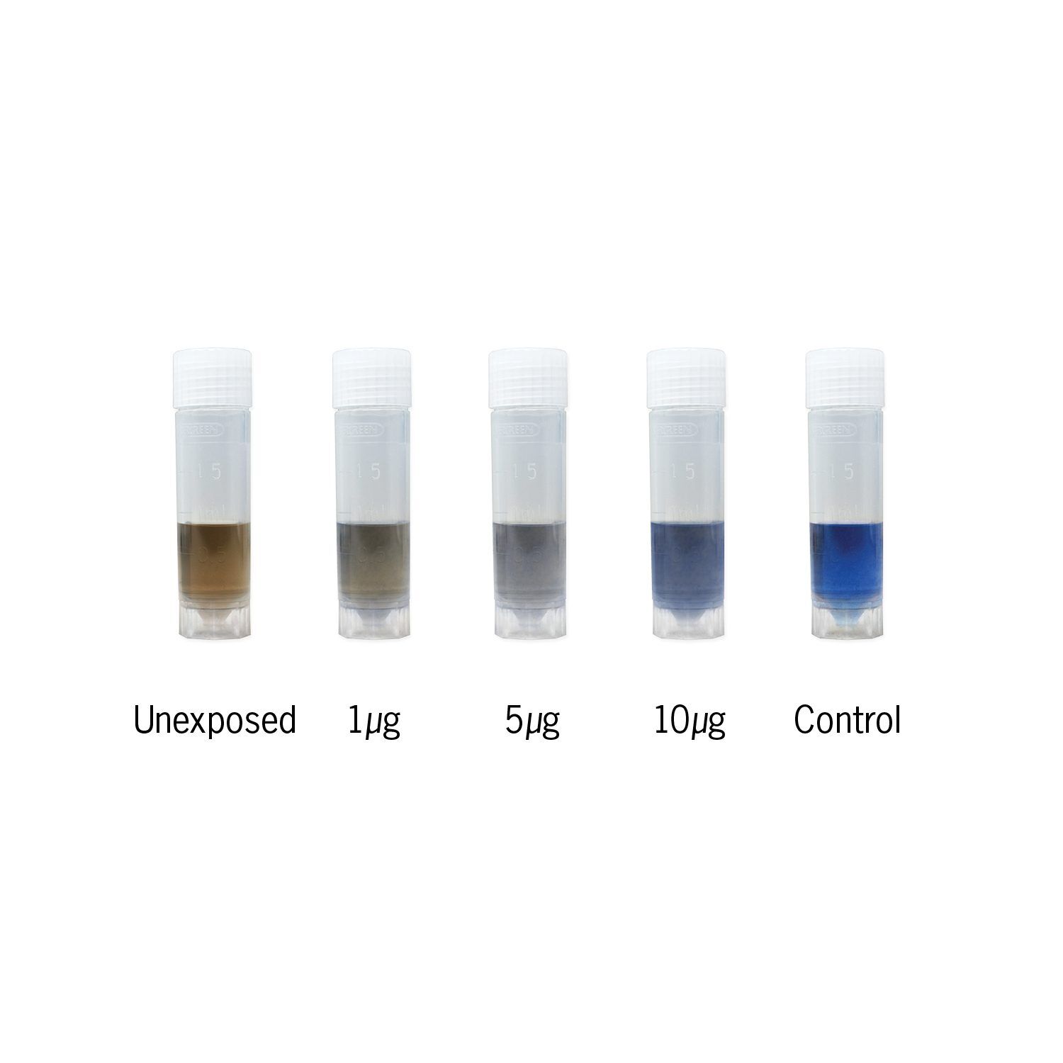 ProExpose Protein Detection Results
